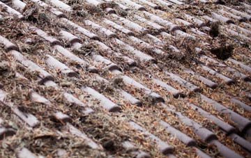 Sandgreen roof cleaning companies