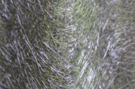 Sandgreen fibreglass roof work